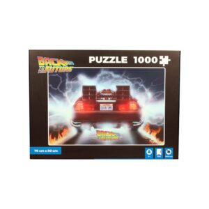 DeLorean puzzle
