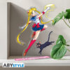 Sailor Moon XXL akril figura & Luna