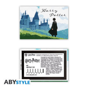 ABYMGN041.jpg Harry Potter hűtőmágnes Harry & Hogwarts