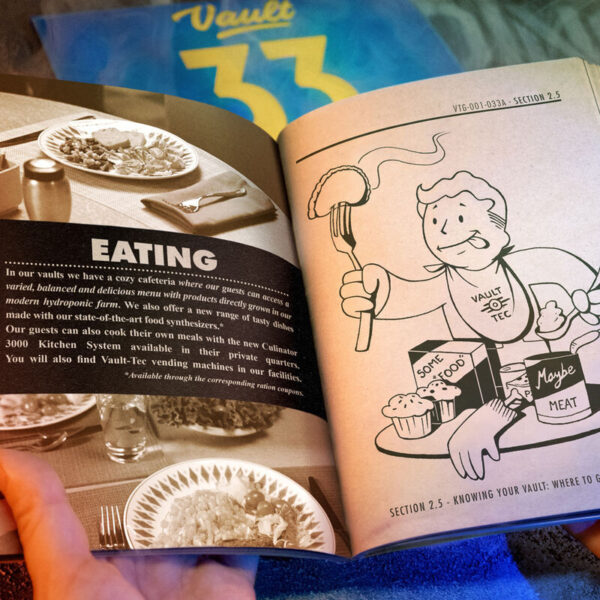 Fallout – Lucy's Dweller kit