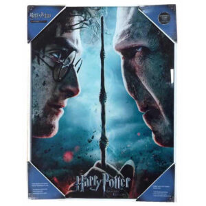 Harry Potter – vs Voldemort glass poszter