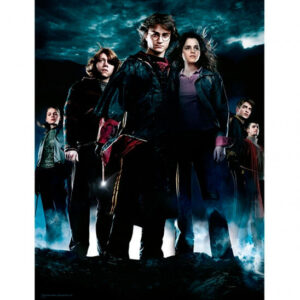 Harry Potter – Group glass poszter