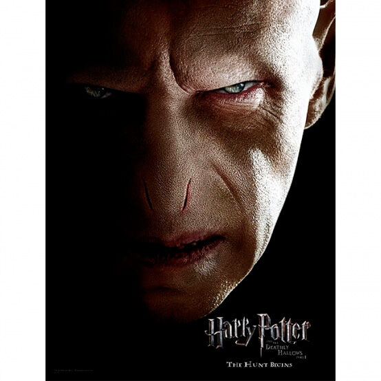 Harry Potter – Voldemort Face glass poszter