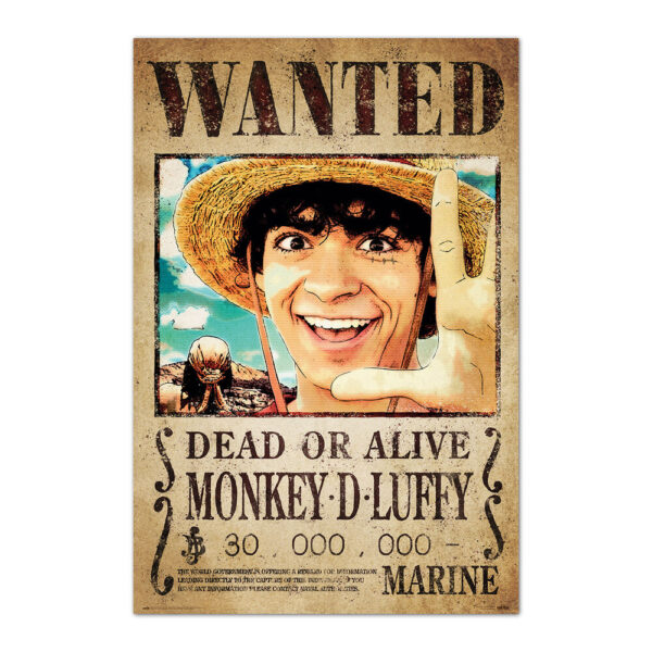 One Piece – Wanted Monkey D. Luffy poszter
