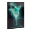 Harry Potter – A5 Lenticular notesz