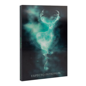 Harry Potter – A5 Lenticular notesz