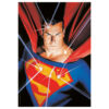 DC Comics – Superman puzzle 500pcs
