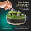 Harry Potter – Terrarium