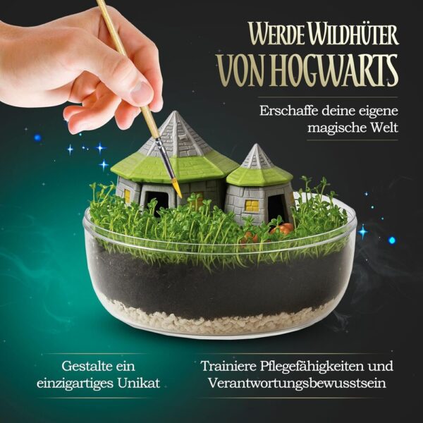 Harry Potter – Terrarium