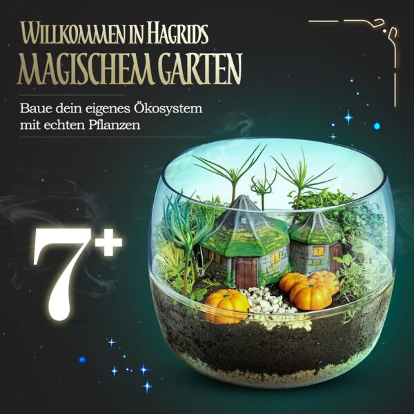 Harry Potter – Terrarium