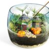 Harry Potter – Terrarium