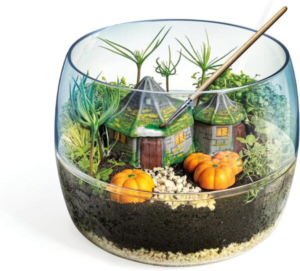 Harry Potter – Terrarium