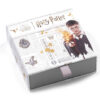 Harry Potter – Diadem sterling silver earringss