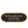 Harry Potter – Wingardium sign