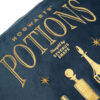 Harry Potter – Potions wash bag