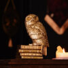 Harry Potter – Hedwig figura 20 cm