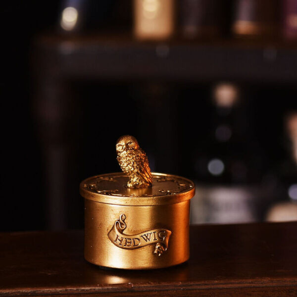 Harry Potter – Hedwig trinket box