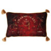 Harry Potter – Charms Class velvet cushion