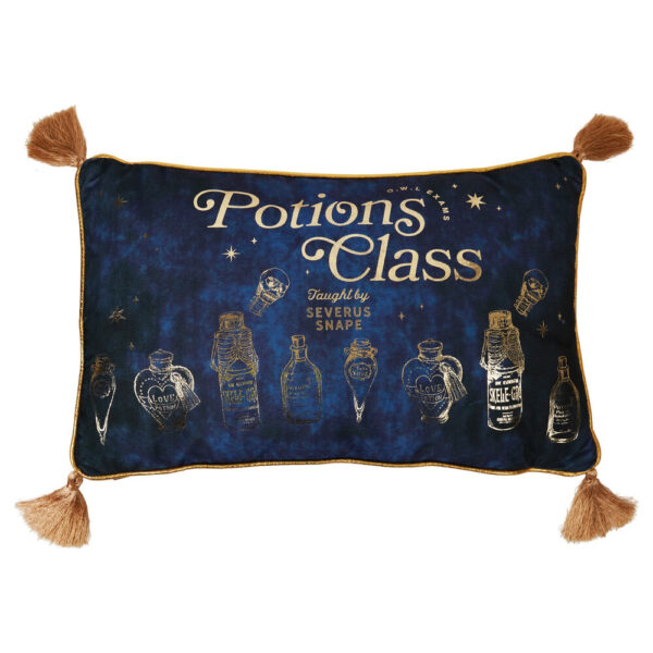 Harry Potter – Potions Class velvet cushion