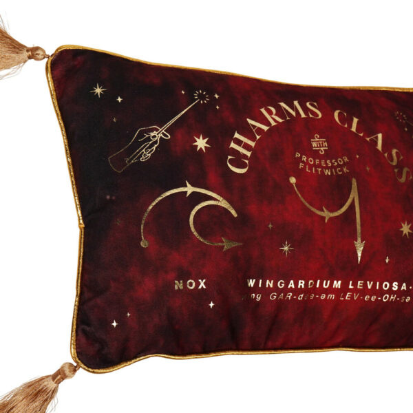 Harry Potter – Charms Class velvet cushion