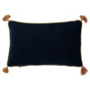 Harry Potter – Potions Class velvet cushion