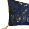 Harry Potter – Potions Class velvet cushion