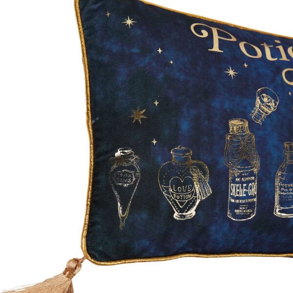 Harry Potter – Potions Class velvet cushion