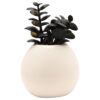 Horror / Cult Movies – Disney Nightmare Before Christmas Jack planter with faux plant
