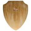 Harry Potter – Hogwarts Crest 3D wall shield